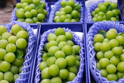 องุ่นเขียว Muscat
