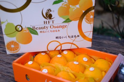 ส้มจุก ตรา นกแก้ว