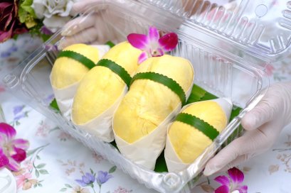 ทุเรียนหมอนทอง