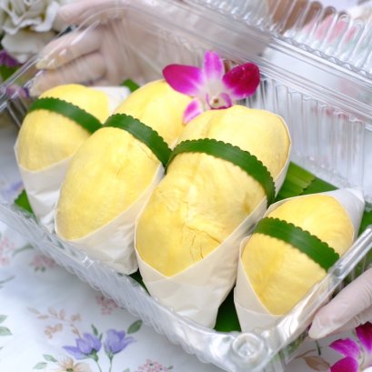 ทุเรียนหมอนทอง