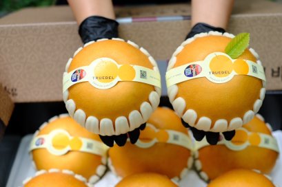 สาลี่หิมะ เกาหลี 6 ลูก