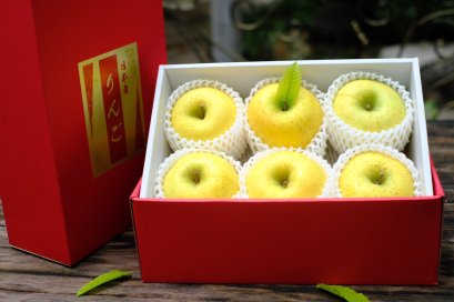 Apple Shinano JP (สีทอง)