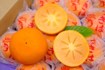 พลับเนื้อส้ม (ญี่ปุ่น)