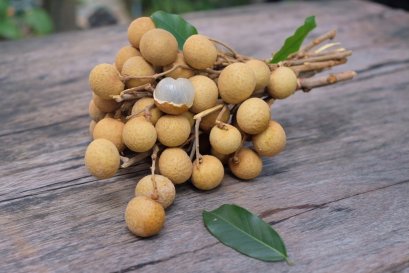 ลำไย 3 กก.