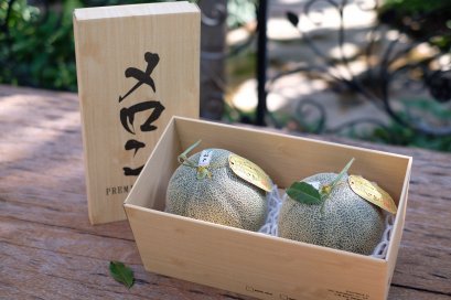 เมล่อน เนื้อเขียว 2 ลูก