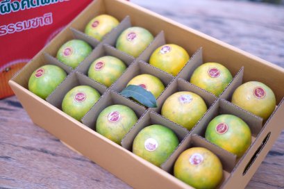 ส้มสายน้ำผึ้ง Giftset