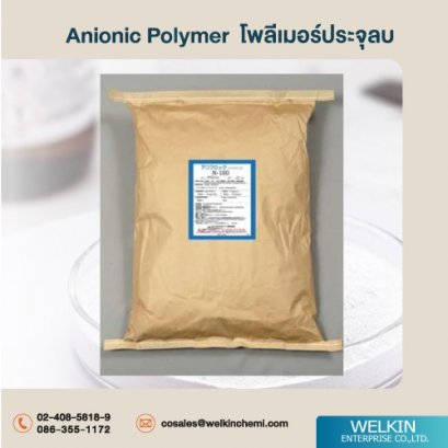 Anionic Polymer (โพลีเมอร์ประจุลบ)