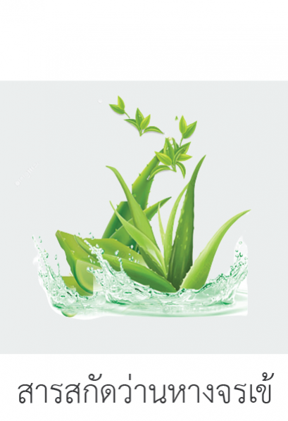 Aloe Vera Extract