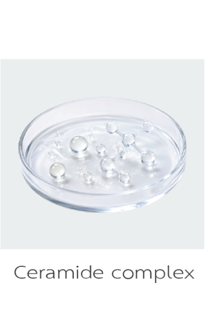 Ceramide Complex