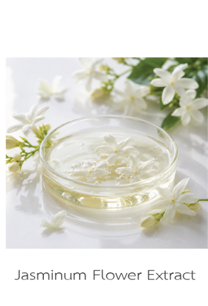 Jasminum Flower Extract
