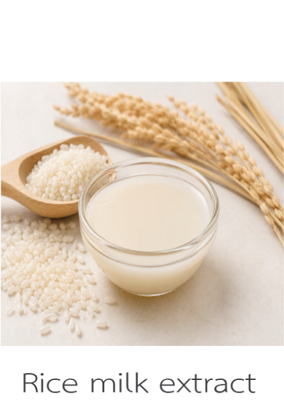 Rice Milk Extract