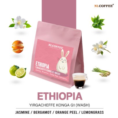 Ethiopia : Yirgacheffe Konga G1