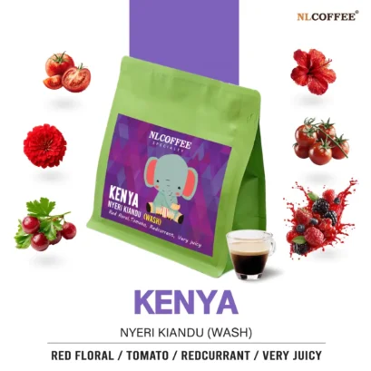 Kenya : Kianbu (Wash)