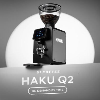 HAKU Q2