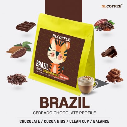 Brazil Cerrado : Chocolate Profile