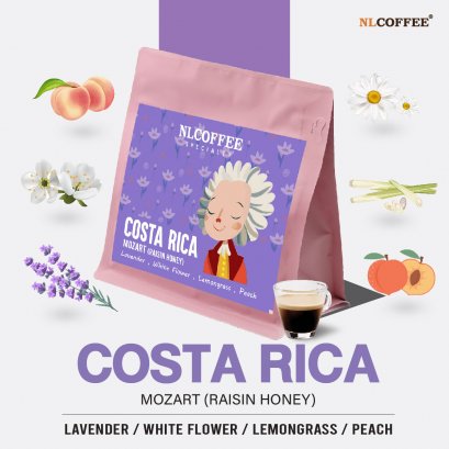 Costa Rica : Mosart | Raisin Honey Process