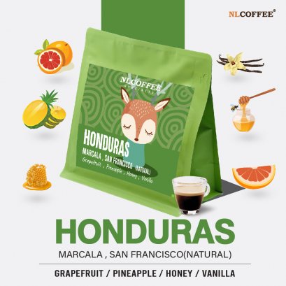 Honduras : Marcala San Francisco (Natural)