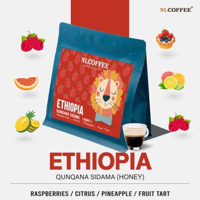 Ethiopia : Sidama Qunqana (Honey)