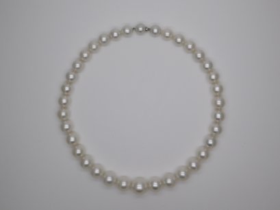 South Sea Cultured Pearl Necklace