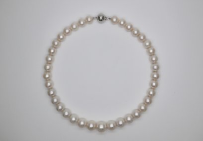 Fresh water Cultured Pear Necklace