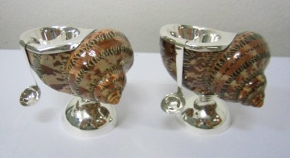 Brown Shell Salt and Pepper Cellar