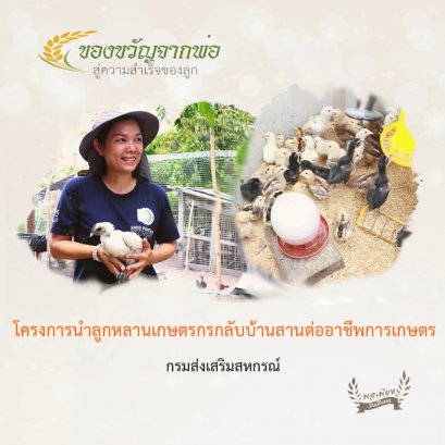 โครงการนำลูกหลานเกษตรกรกลับบ้าน สานต่ออาชีพการเกษตร กรมส่งเสริมสหกรณ์