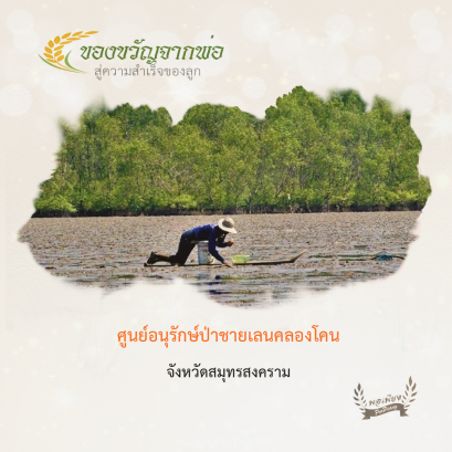 ศูนย์อนุรักษ์ป่าชายเลนคลองโคน จ.สมุทรสงคราม