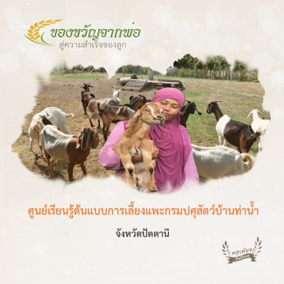 ศูนย์เรียนรู้ต้นแบบการเลี้ยงแพะกรมปศุสัตว์บ้านท่าน้ำ อ.ปะนาเระ จ.ปัตตานี