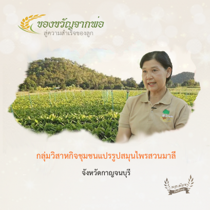 กลุ่มวิสาหกิจชุมชนแปรรูปสมุนไพรสวนมาลี จ.กาญจนบุรี