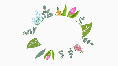 แอนิเมชั่นโครงการพระราชดำริ "โครงการศูนย์บริการการพัฒนาขยายพันธุ์ไม้ดอกไม้ผลบ้านไร่อันเนื่องมาจากพระราชดำริ จังหวัดเชียงใหม่"