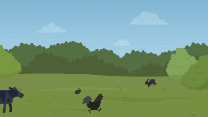 อนิเมชั่นโครงการพระราชดำริ "ศูนย์ศึกษาการพัฒนาภูพาน"