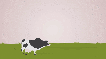 อนิเมชั่นโครงการพระราชดำริ "โครงการส่วนพระองค์สวนจิตรลดา"