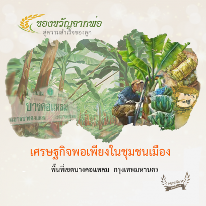เศรษฐกิจพอเพียงในชุมชนเมือง พื้นที่เขตบางคอแหลม