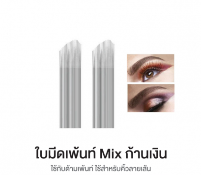 ใบมีดเพ้นท์Mix