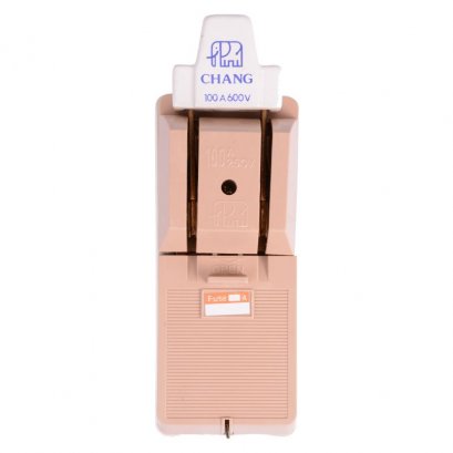 ช้าง คัทเอ้าท์ 2P 100 AH AMAZING