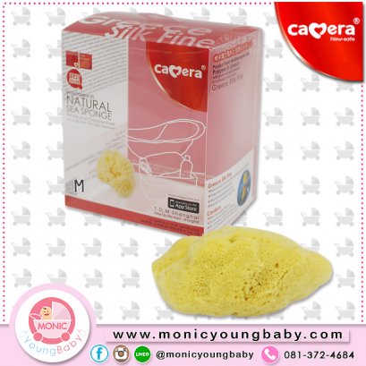 ฟองน้ำธรรมชาติ กรีก NO.17 ยี่ห้อ camera 