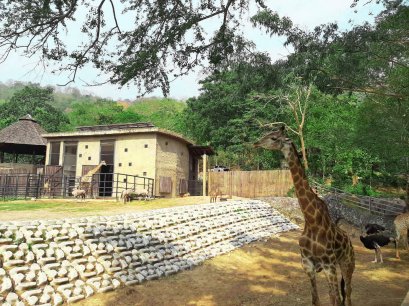 อีกหนึ่งผลงานการติดตั้ง หินเรียงสำเร็จรูป Slope Protection Block สวนสัตว์ เปิดเขาเขียว (โซนแอฟริกา) ติดตั้งรวดเร็ว สวยงาม แข็งแรง