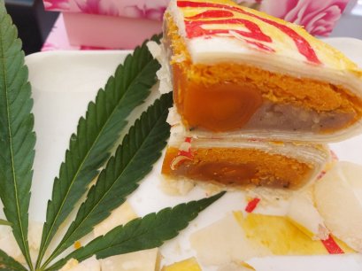 กรมการแพทย์แผนไทยฯ ร่วมภาคีเครือข่าย จัดกิจกรรม “กัญชา” หลังประกาศกระทรวงฯปลดล็อกกัญชาจากยาเสพติดให้โทษประเภท 5 บางส่วน