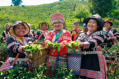  พันธุ์ไทย เสิร์ฟปรากฏการณ์ เหนือ-ใต้ เฟรชเจอร์ริ่ง   เปิดตัว โอ้เอ๋วชามะลิดึ๋ง ขยายพอร์ต Non-Coffee เชื่อมเจนใหม่ผ่าน Music Marketing