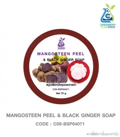 Mangosteen Peel &amp; Black Ginger Soap