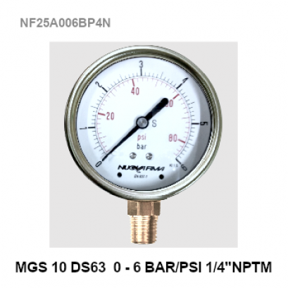 pressure gauge 0-6Bar