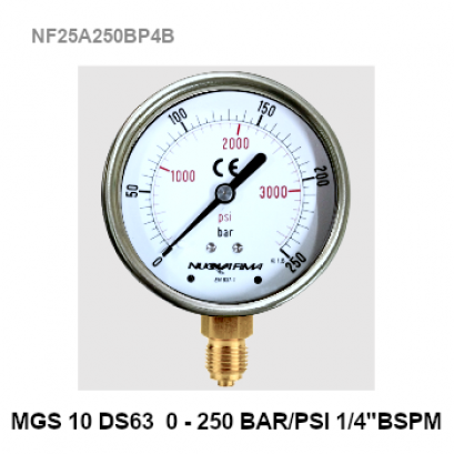 0-250Bar Pressure gauge