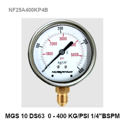 0-400 kg / m2 Pressure gauge