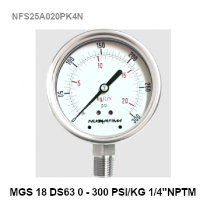 0-300 PSI Ø 2.5&quot; Stainless Steel Back Connect 1/4&quot;