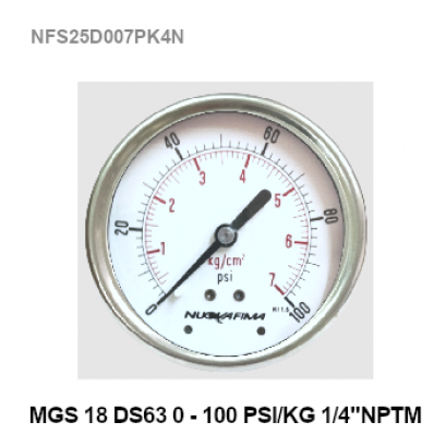 0-100 Psi Ø 2.5&quot; Stainless Steel Back 1/4&quot;