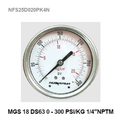 0-300 Psi Ø 2.5&quot; Stainless Steel Back 1/4&quot;