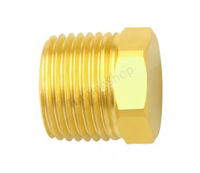 ปลั๊กอุดหัวหกเหลี่ยม