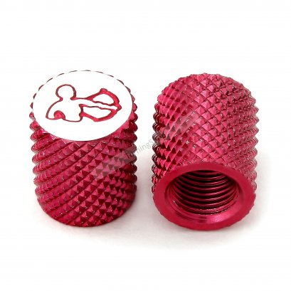 จุกลมราศีมังกร