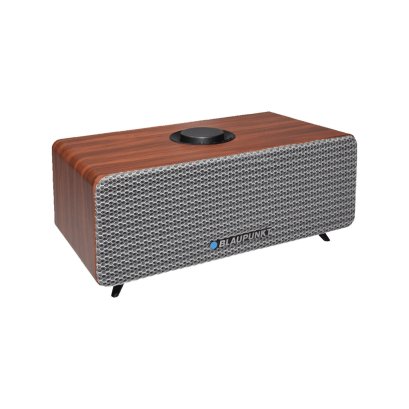 BLAUPUNKT Dustin BAS1020 ลำโพงไร้สายขนาดพกพา