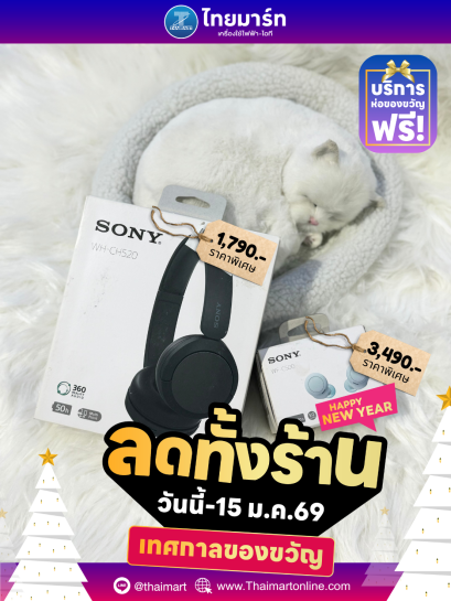 SONY Wireless Headphones รุ่น WH-CH520 หูฟังแบบครอบหูไร้สาย